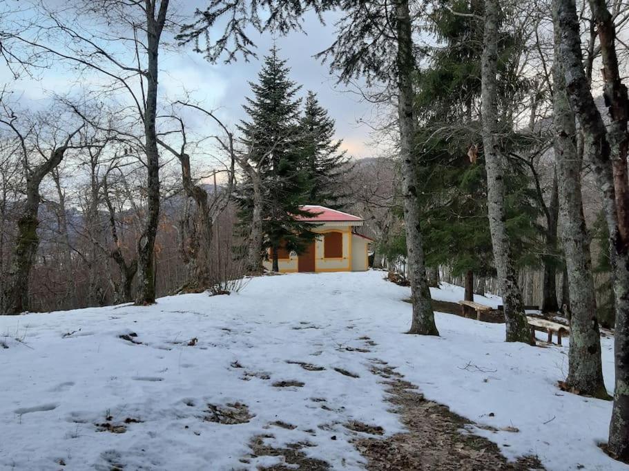 Casa Del Castagno: Un Nido Nel Castagneto Villa Pistoia Eksteriør bilde