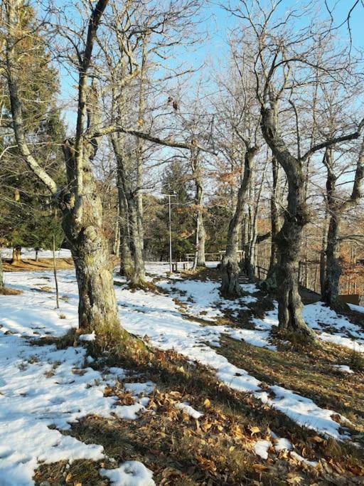 Casa Del Castagno: Un Nido Nel Castagneto Villa Pistoia Eksteriør bilde